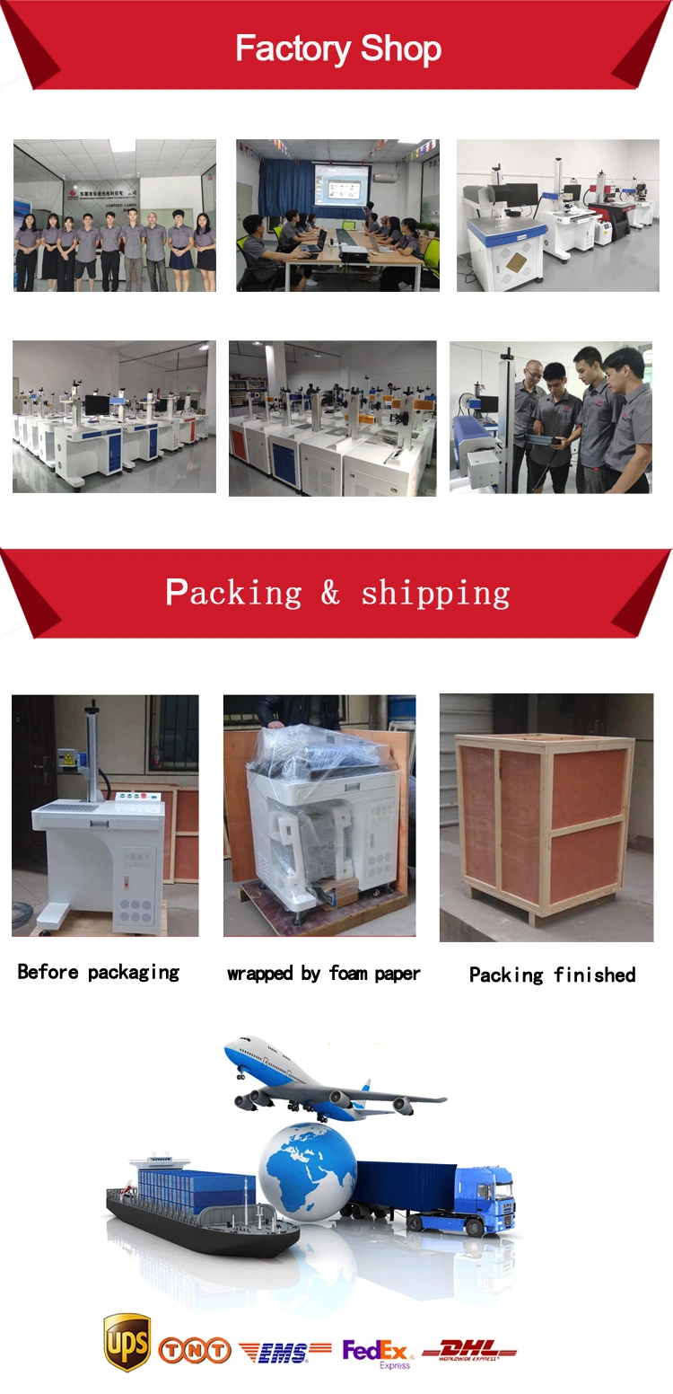 CO2 Laser Marking Machine Line Food Date Printer Flight Laser Printer