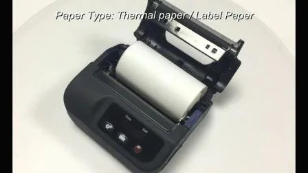 Multifuncional 80 mm/S USB+Bt Handheld Mobile Biometric Product Textile Shipping Thermal Label Printer (HCC-L31)
